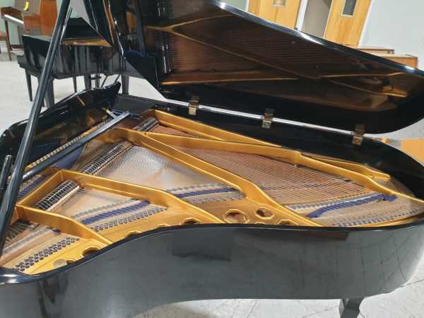 1981 Stegler G5A Ebony Polish Grand Piano inside