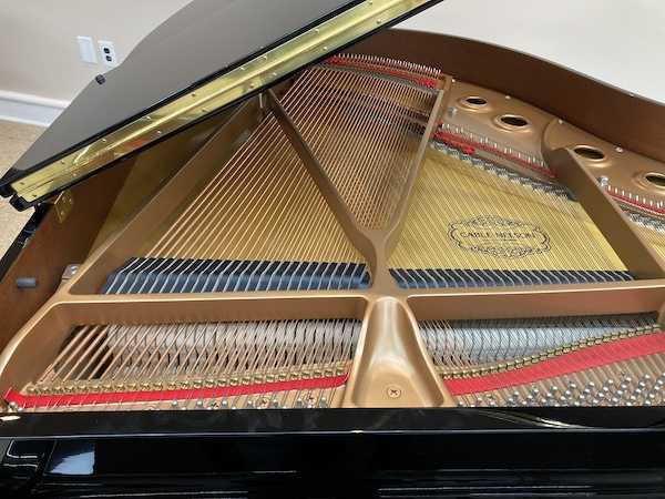 Cable-Nelson CN151 Baby Grand Piano Left Strings_