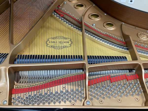 Cable-Nelson CN151 Baby Grand Piano Middle Strings_