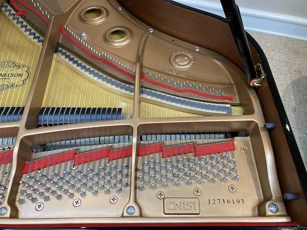 Cable-Nelson CN151 Baby Grand Piano Right Strings_