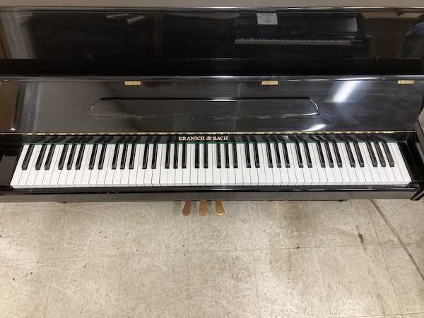 Kranich _ Bach Console Piano Keys