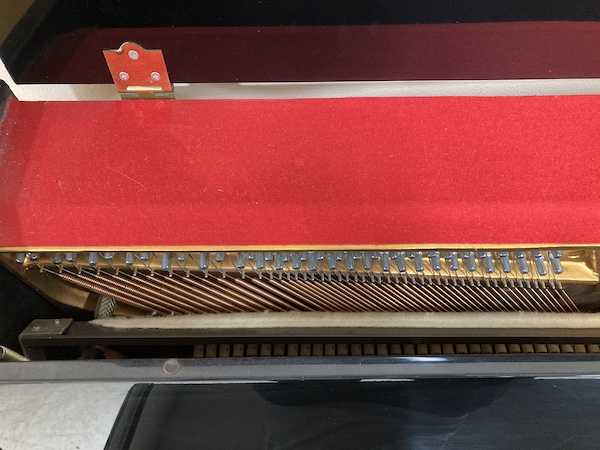 Kranich _ Bach Console Piano Left Strings_Hammers