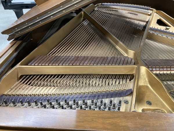 Livingston Louis XY Baby Grand Piano Left Strings_