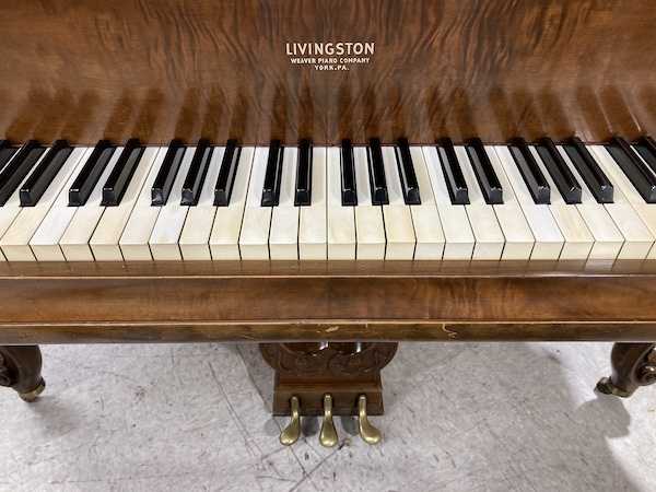 Livingston Louis XY Baby Grand Piano Middle Keys
