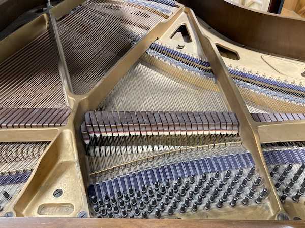 Livingston Louis XY Baby Grand Piano Middle Strings