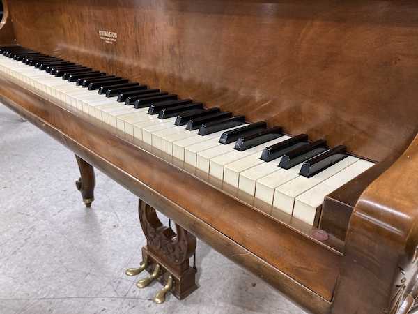 Livingston Louis XY Baby Grand Piano Right Keys