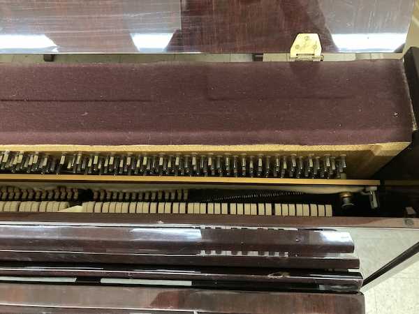 Pearl River Console Piano Right Strings_Hammers