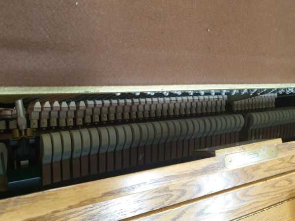 1996 Boston UP-118S Studio Piano hammers 2