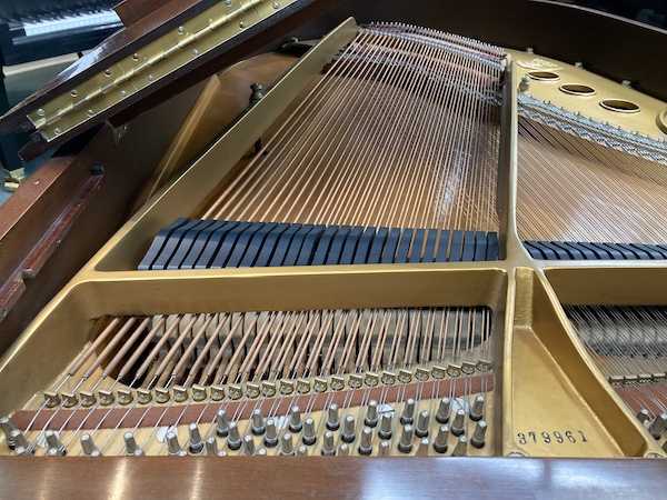 1962 Steinway M Grand Piano IMG_1002
